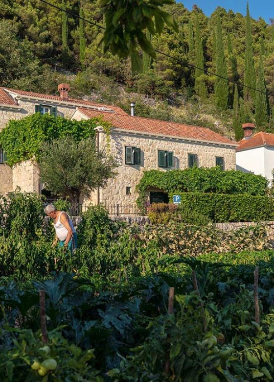 Dubrovnik cooking class