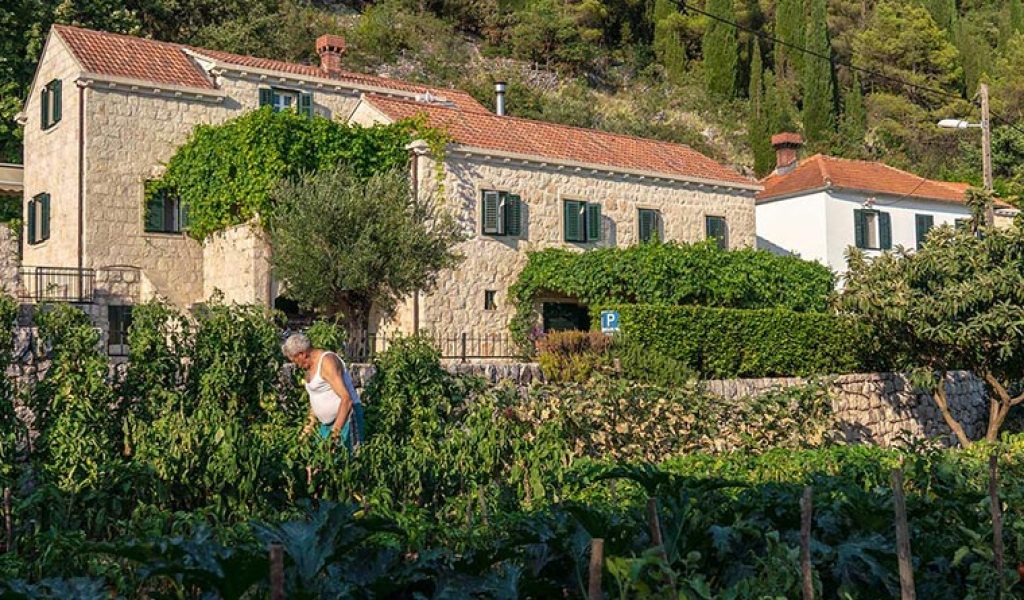 Dubrovnik cooking class