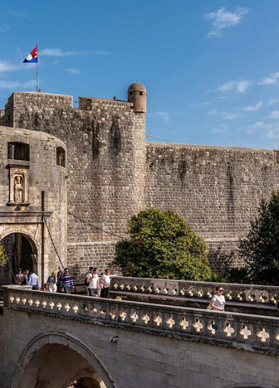 Dubrovnik wine walk, culinary tour