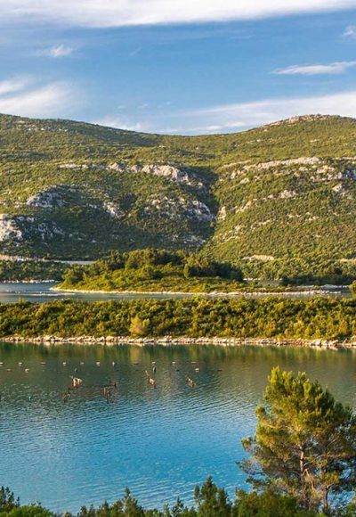 Oysters of Ston, Croatia