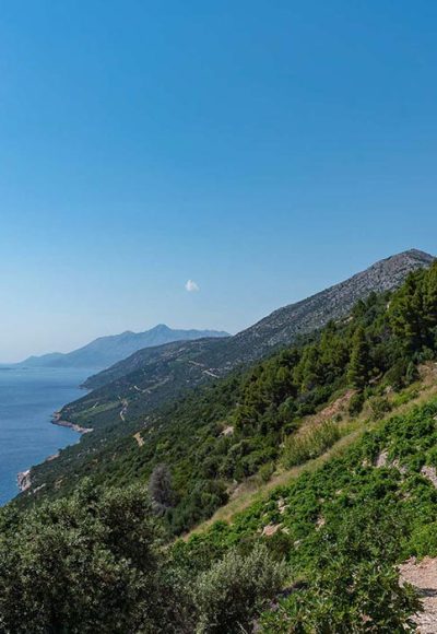 Wine Tour of Pelješac