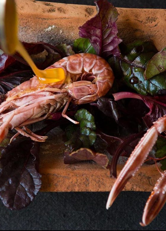 Cooking class Split, creative cuisine