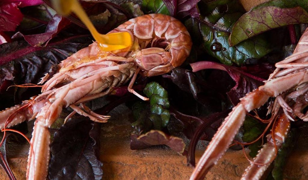 Cooking class Split, creative cuisine