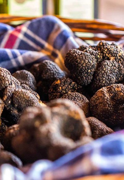 Truffle hunt, Istria